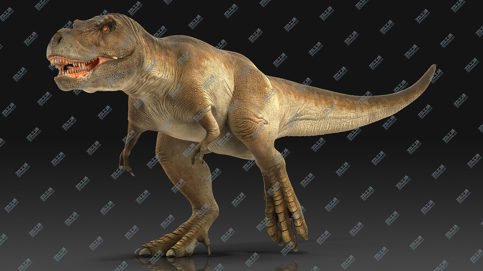 images/goods_img/20210313/Animated Tyrannosaurus Rex Running Rigged 3D model/2.jpg